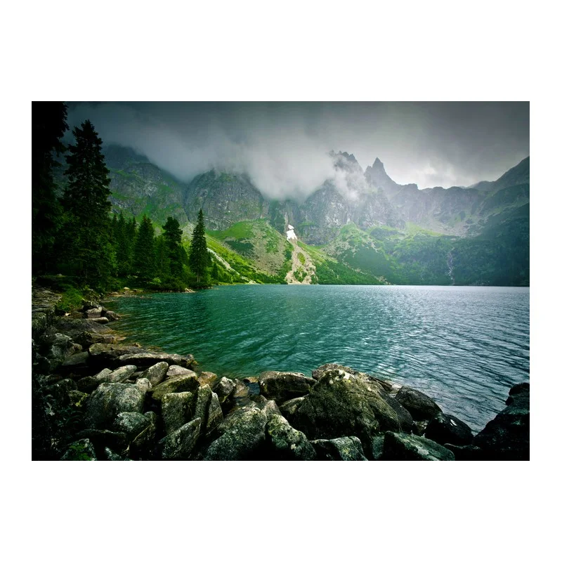 Plakaty · Natura — przykładowy produkt z oferty